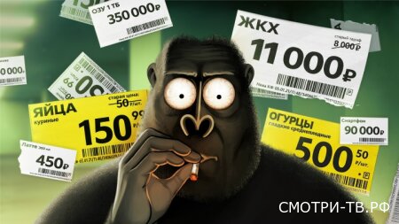 Всё про деньги 22.06.2026